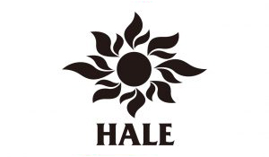 HALE Windsurfing School