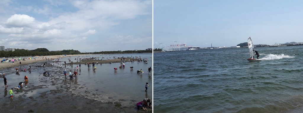 横浜海の公園：干潮時と満潮時、潮干狩りとウインドサーフィン